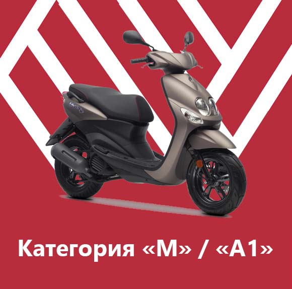 Пакет - Категория &laquo;M&raquo; / &laquo;A1&raquo;
